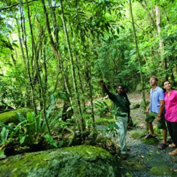 cairns trip deals