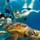 cairns great barrier reef half day tours