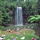 tour guide cairns