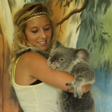 Koala Experience